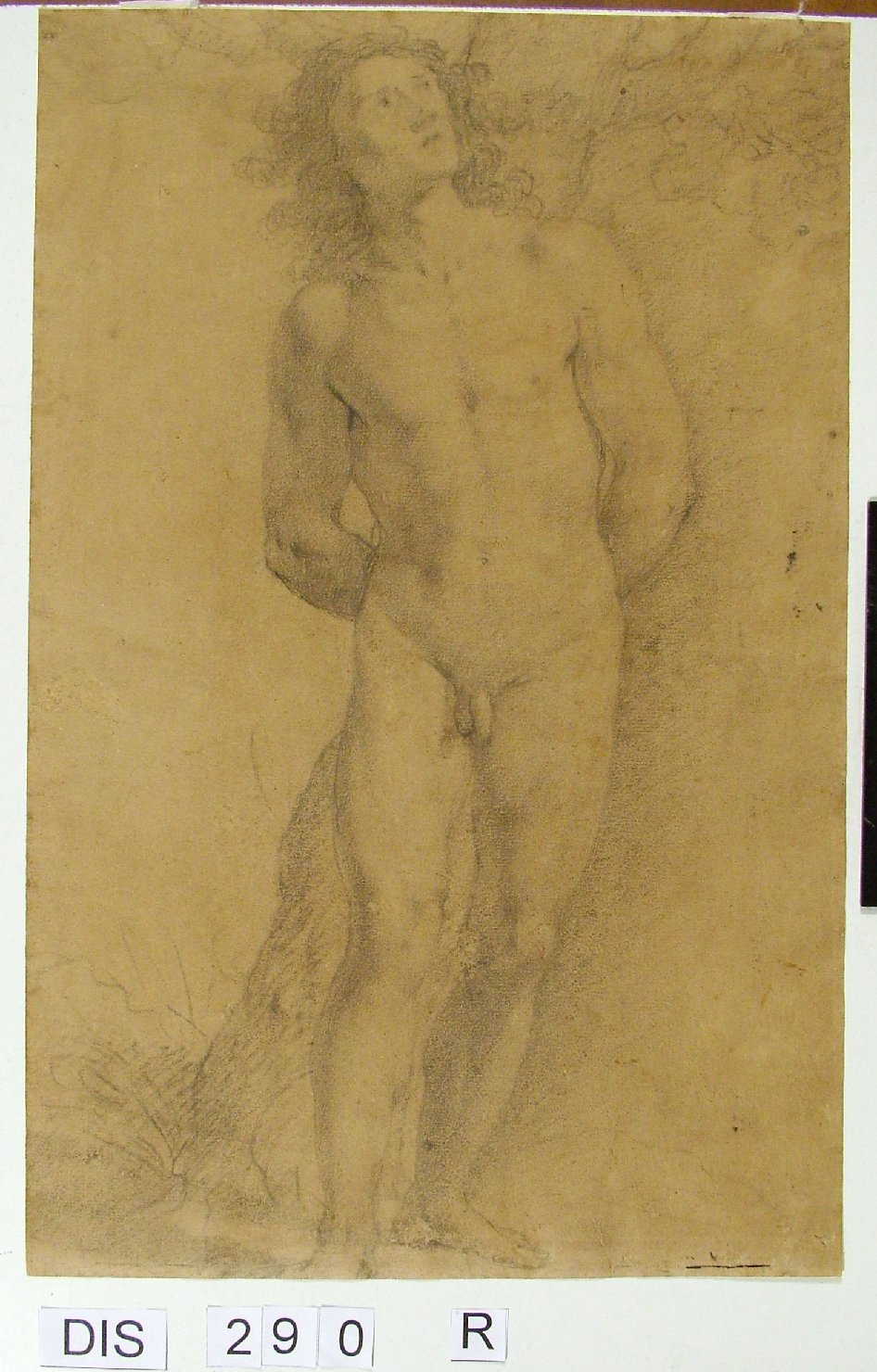 San Sebastiano (disegno) di Viviani Ludovico (attribuito) (fine/inizio secc. XVI/ XVII)
