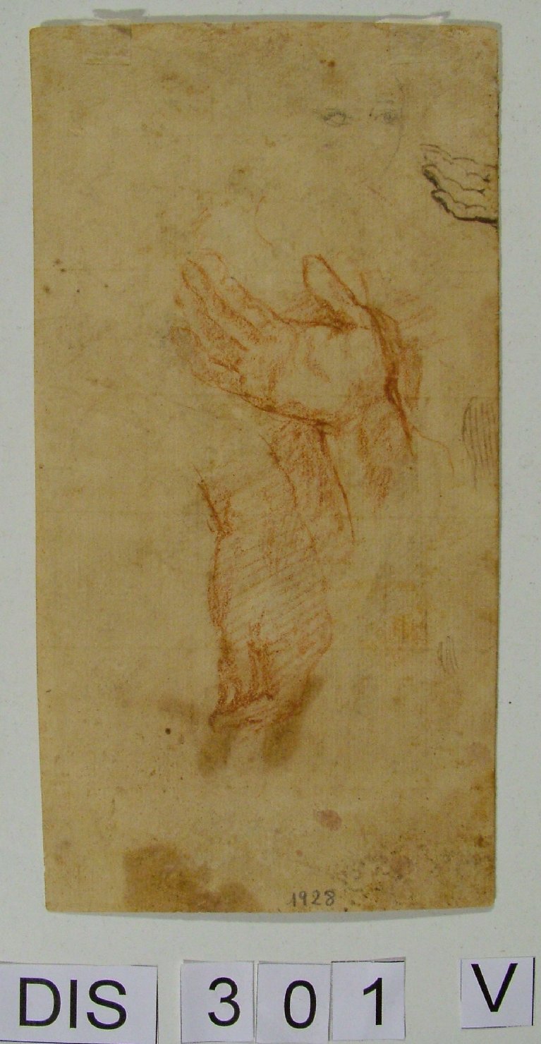 mano indicante (disegno) di Cimatori Antonio (attribuito) (seconda metà sec. XVI)
