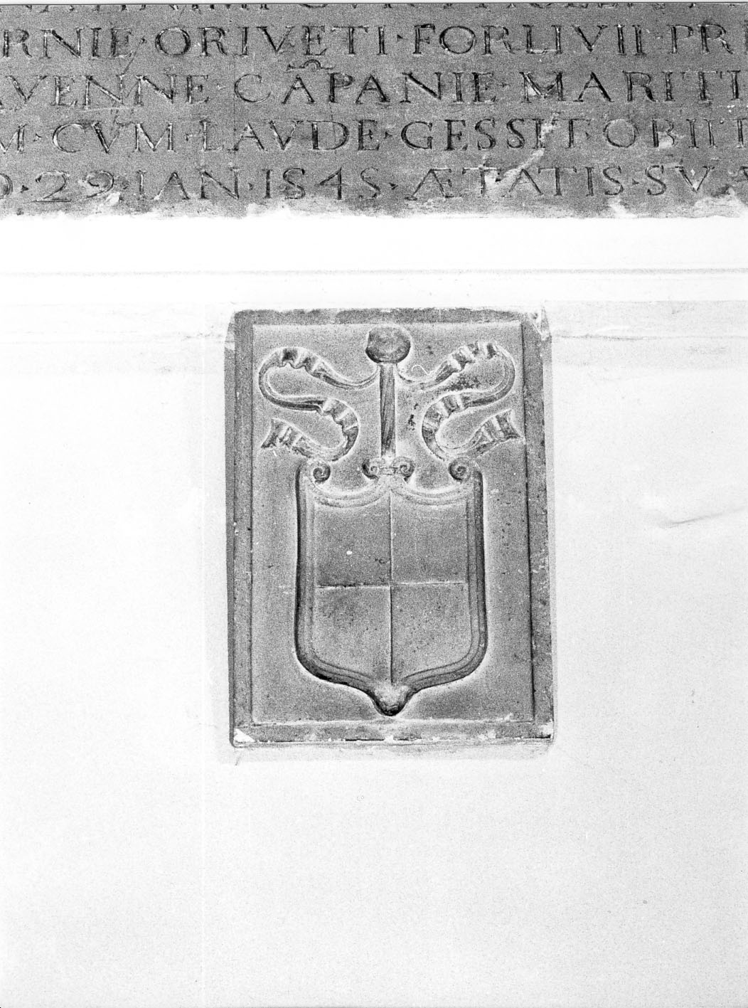 stemma (rilievo) - bottega marchigiana (sec. XVI)