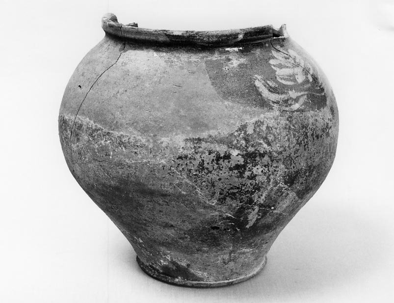 olla, serie - manifattura marchigiana (sec. XVII)