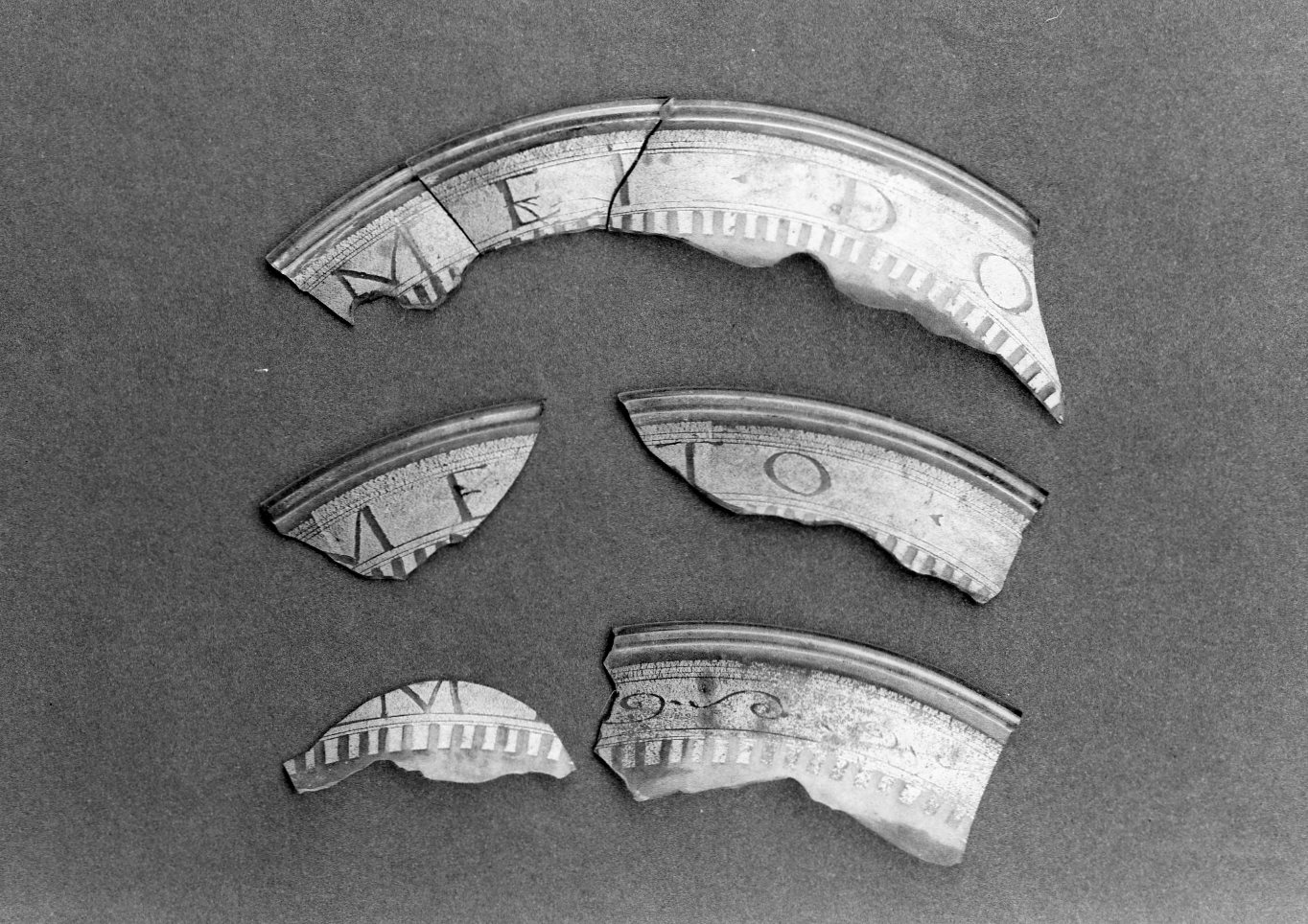 motivi decorativi (coppa, frammento) - manifattura urbinate (secc. XV/ XVI)