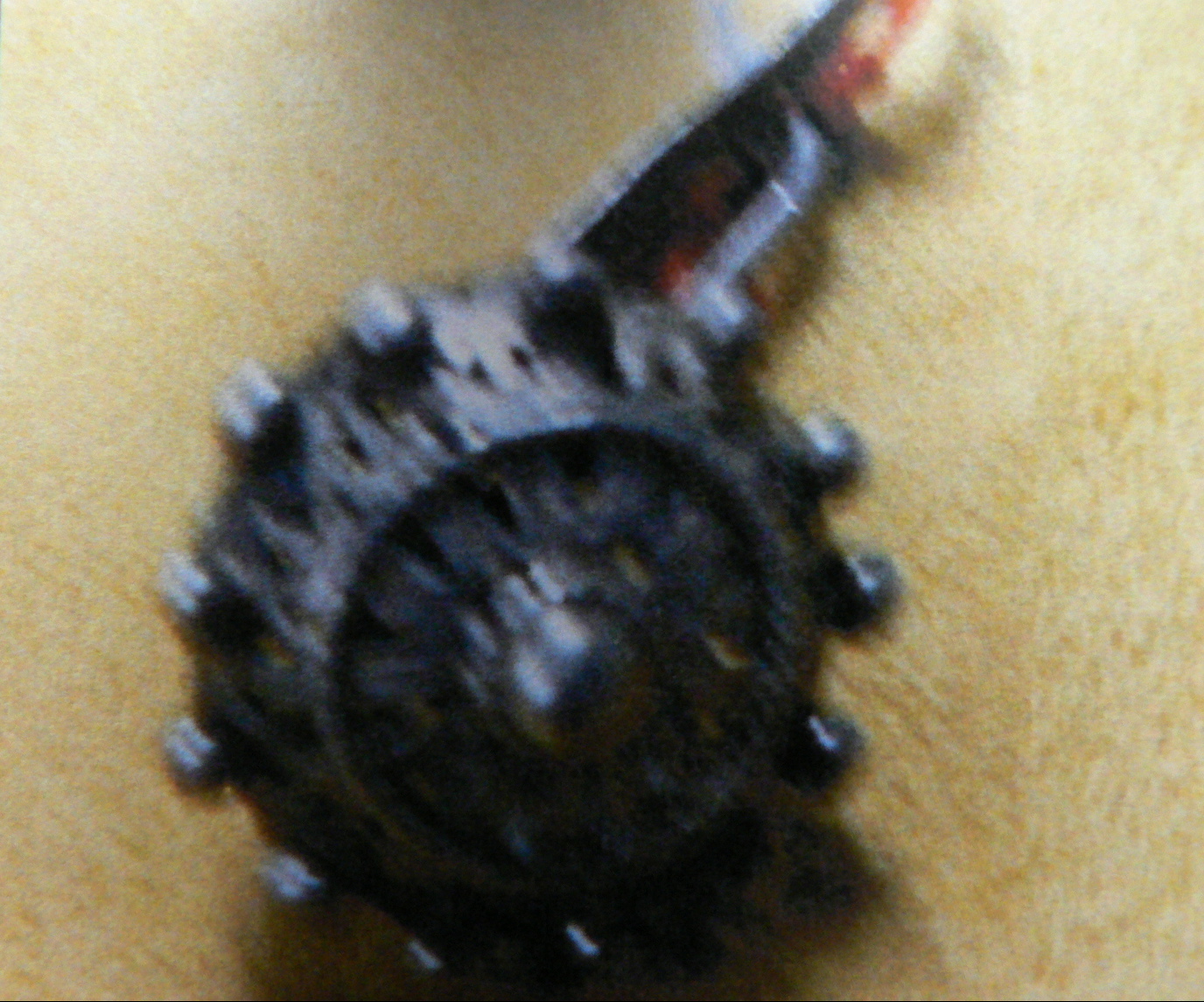 bottone - bottega sarda (sec. XIX)