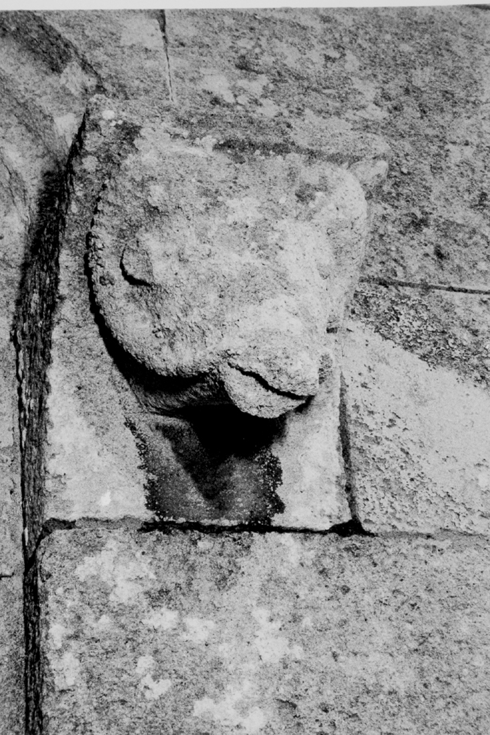 motivo decorativo zoomorfo (mensola, serie) - bottega franco-toscana (sec. XII)