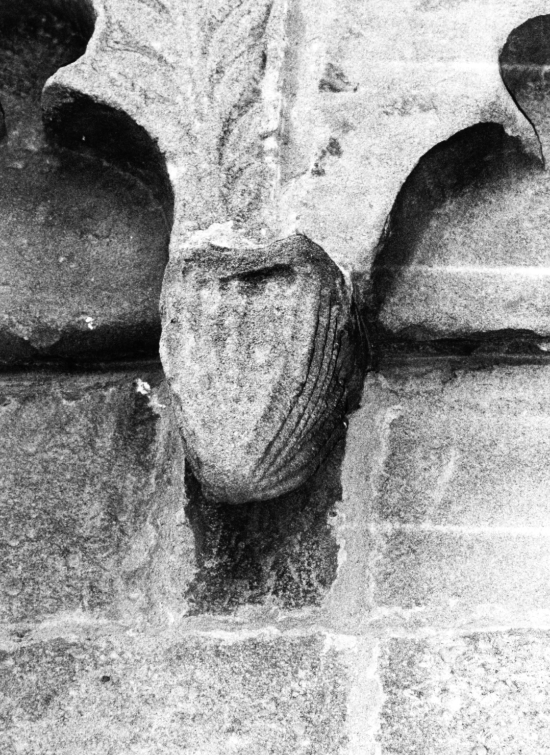 motivo decorativo fitomorfo (mensola architettonica) - bottega araba, bottega lombarda (sec. XIII)
