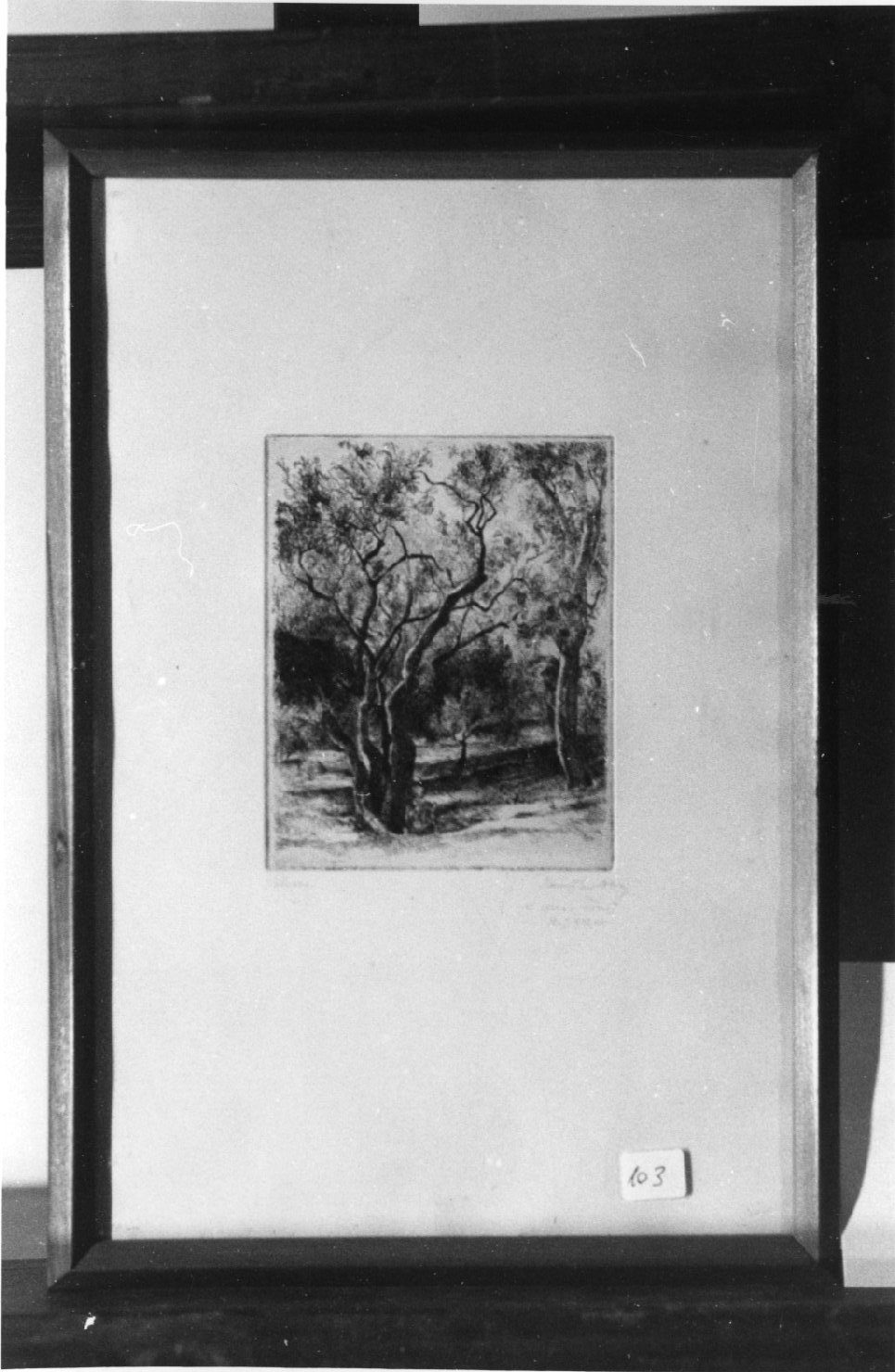 Oliveto, paesaggio con alberi (stampa) di Dessy Stanislao (secondo quarto sec. XX)