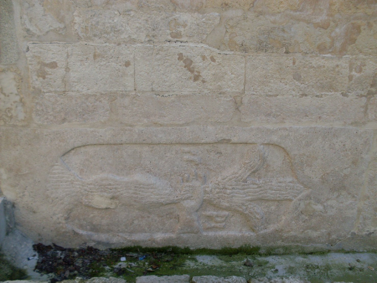 stemma gentilizio (lapide tombale) - bottega sassarese (sec. XVI)