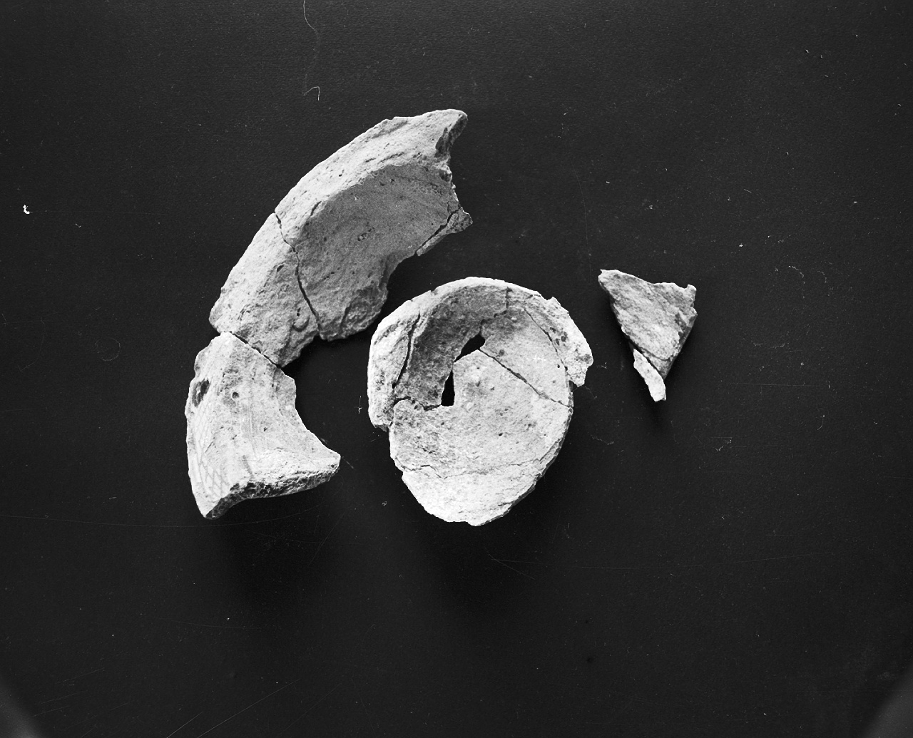 bacile, frammento - bottega tirrenica (sec. XIII)