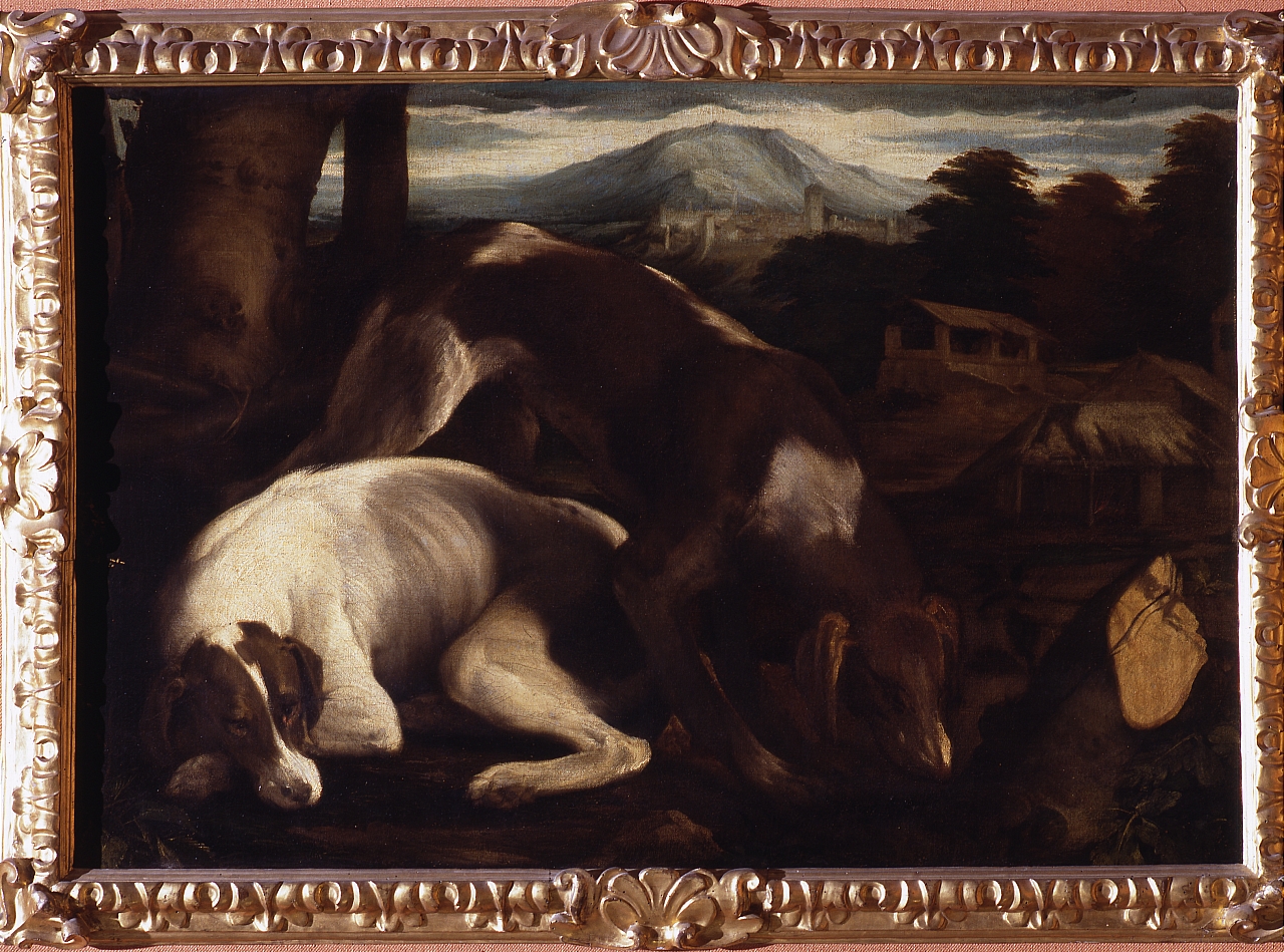 cani (dipinto) di Da Ponte Jacopo detto Jacopo Bassano (sec. XVI)