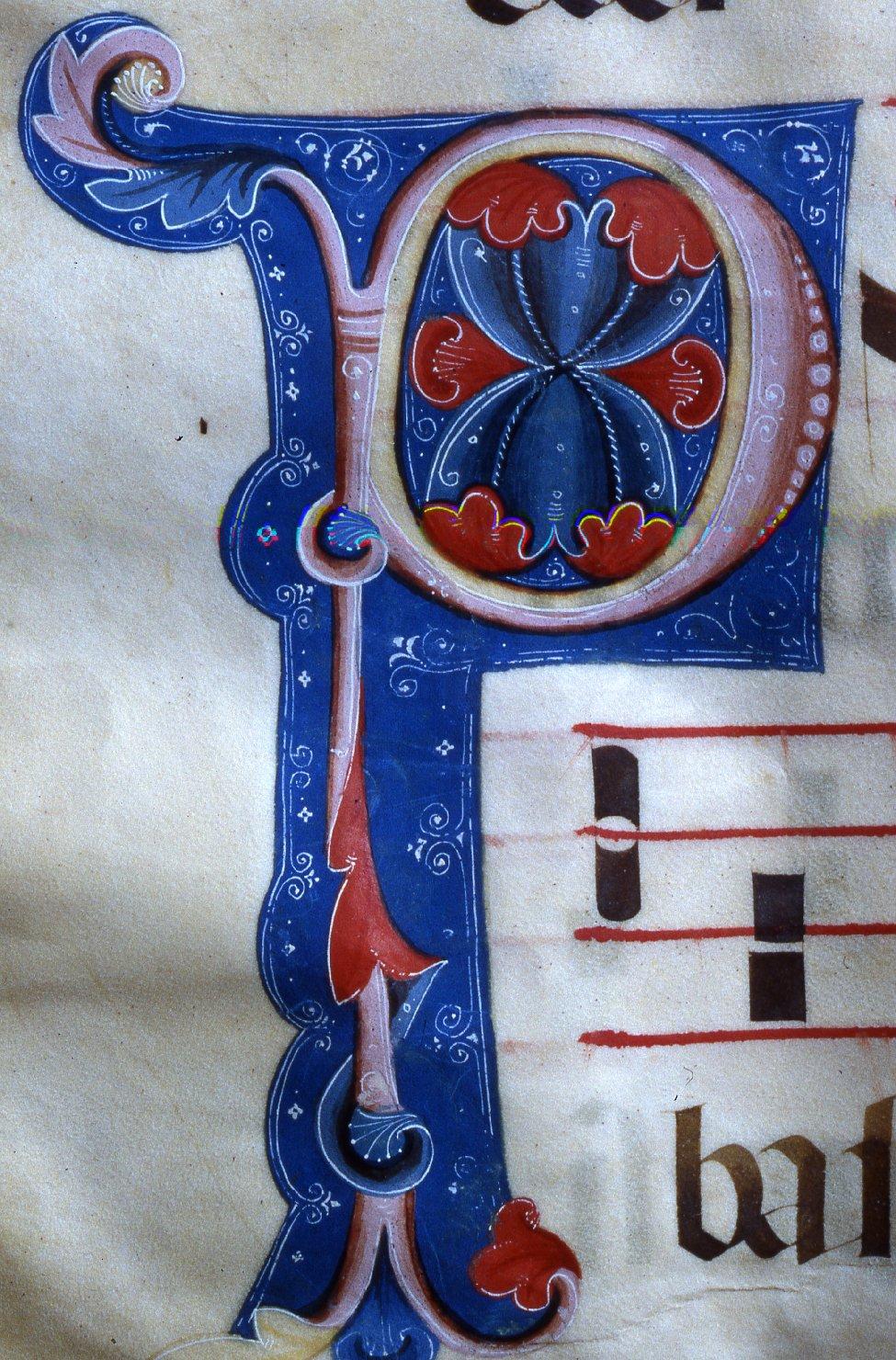 lettera "D" (?) (miniatura) - manifattura toscana (prima metà sec. XIV)