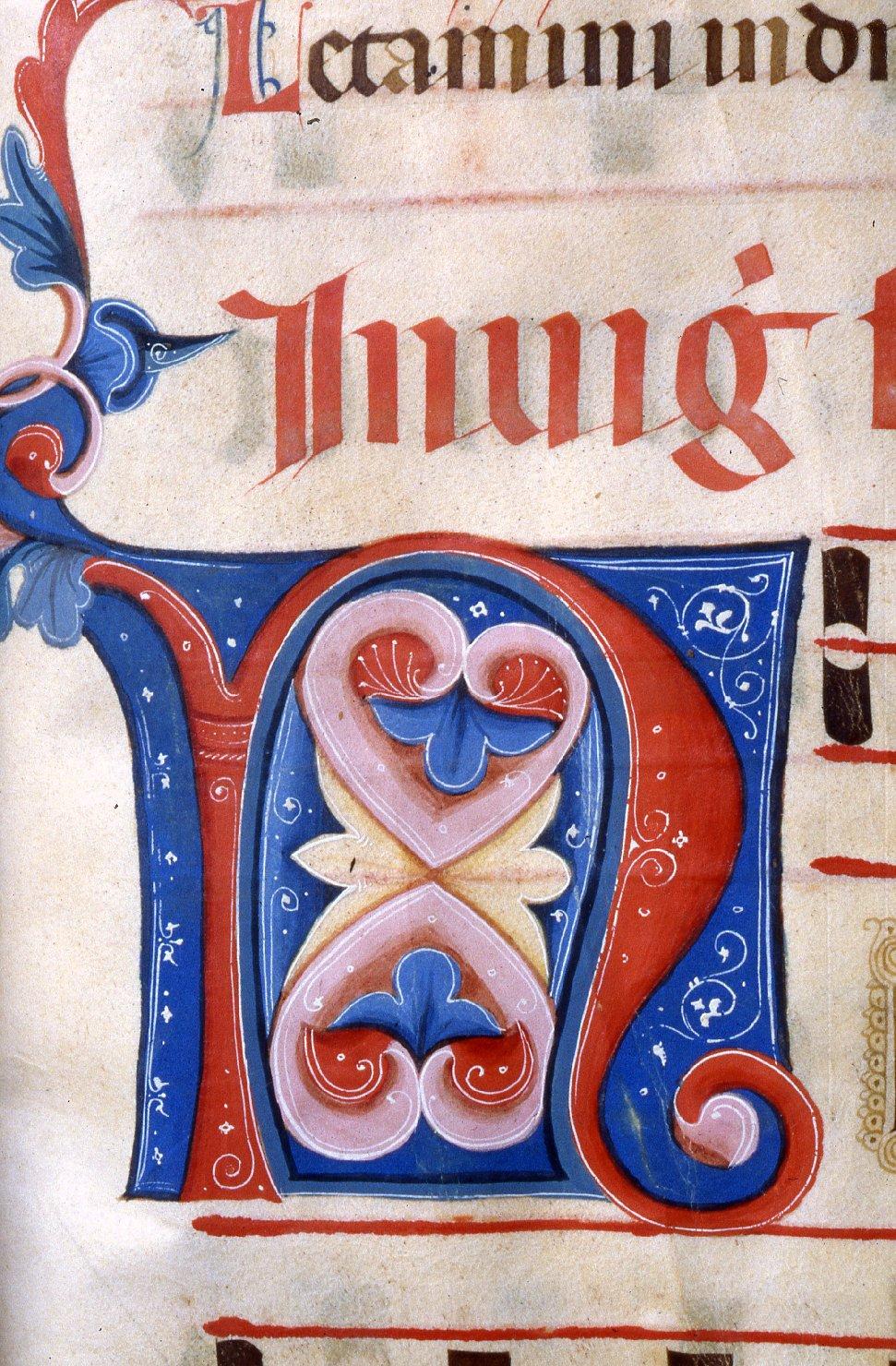lettera "N" (miniatura) - manifattura toscana (prima metà sec. XIV)