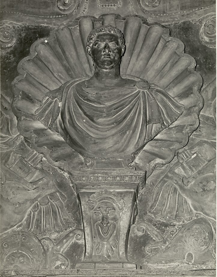 busto maschile in conchiglia (busto) di Rubini Agostino (attribuito) (sec. XVI)