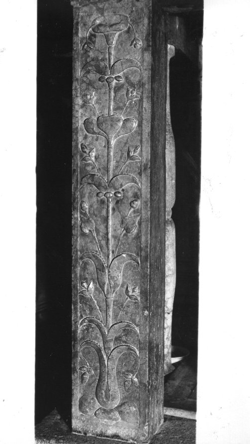 motivi decorativi a candelabra (pilastrino) di Panteo Bernardino (sec. XVI)