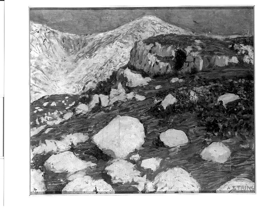 Rododendri, paesaggio montano (dipinto, opera isolata) di Stringa Alberto (sec. XX)