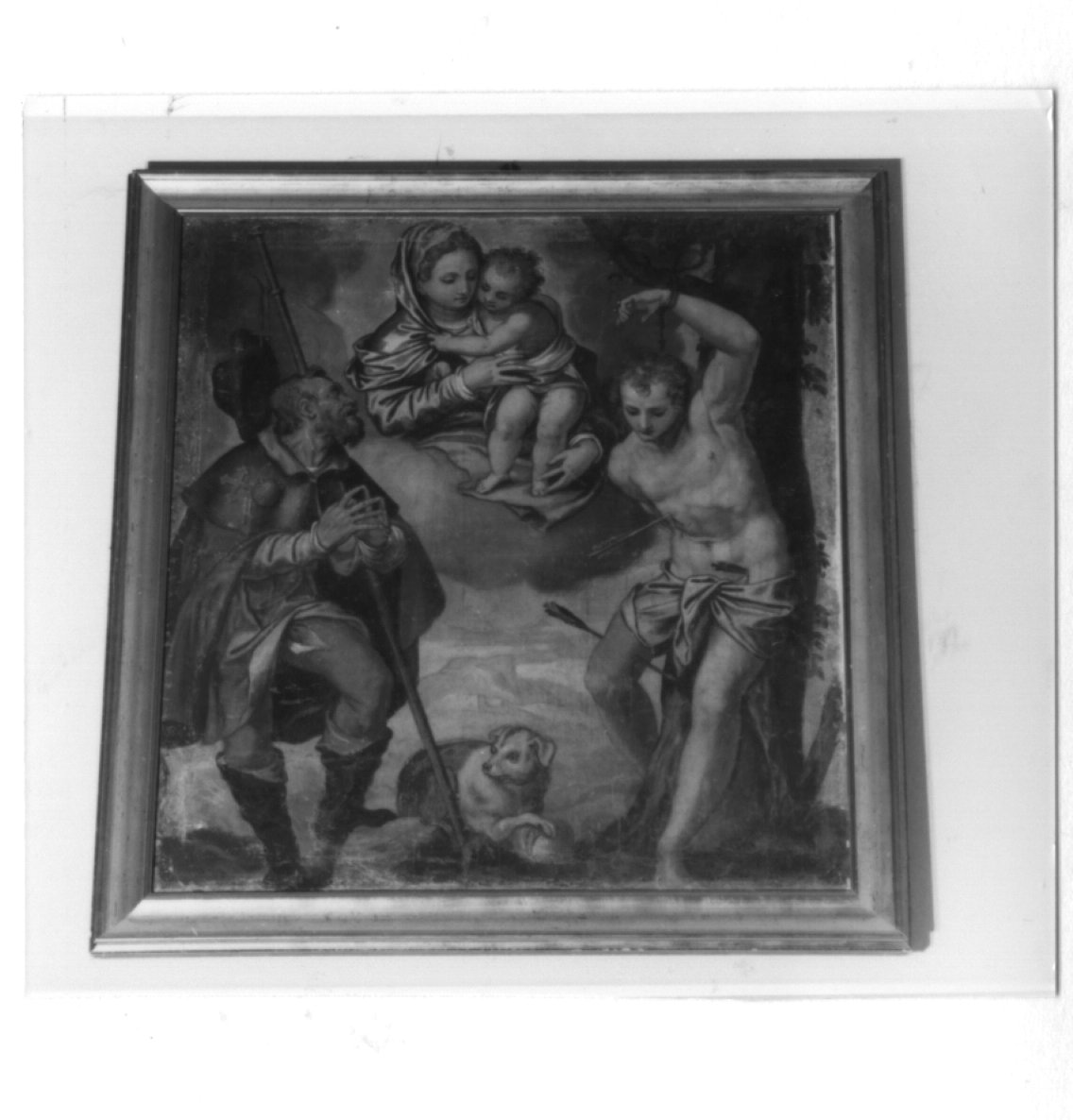 Madonna con Bambino e angeli tra San Sebastiano e San Rocco (dipinto) di Farinati Paolo (seconda metà sec. XVI)