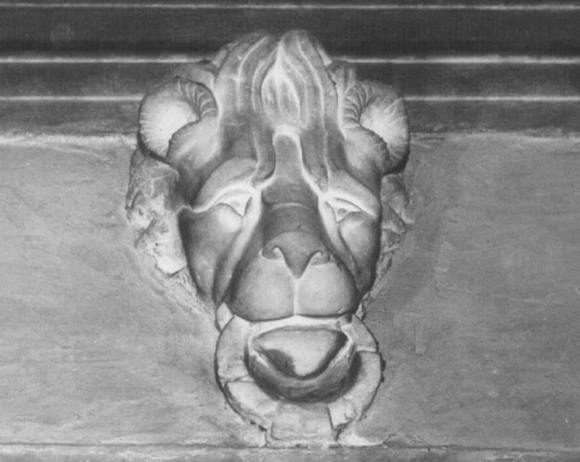 leone (rilievo) di Domenico Da Lugo (attribuito) (sec. XVI)