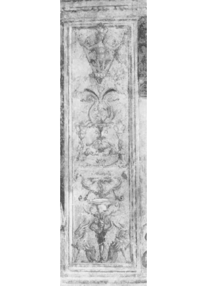 motivi decorativi a candelabra (dipinto) di Falconetto Giovanni Maria (sec. XVI)