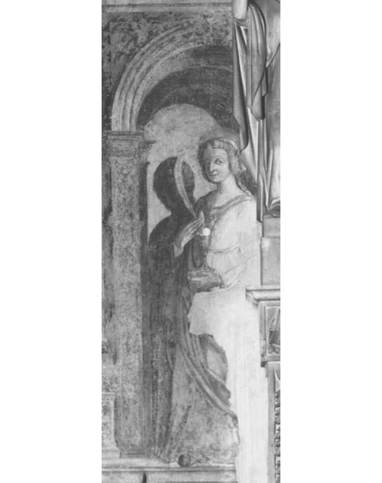 Santa Barbara (dipinto) di Falconetto Giovanni Maria (sec. XVI)