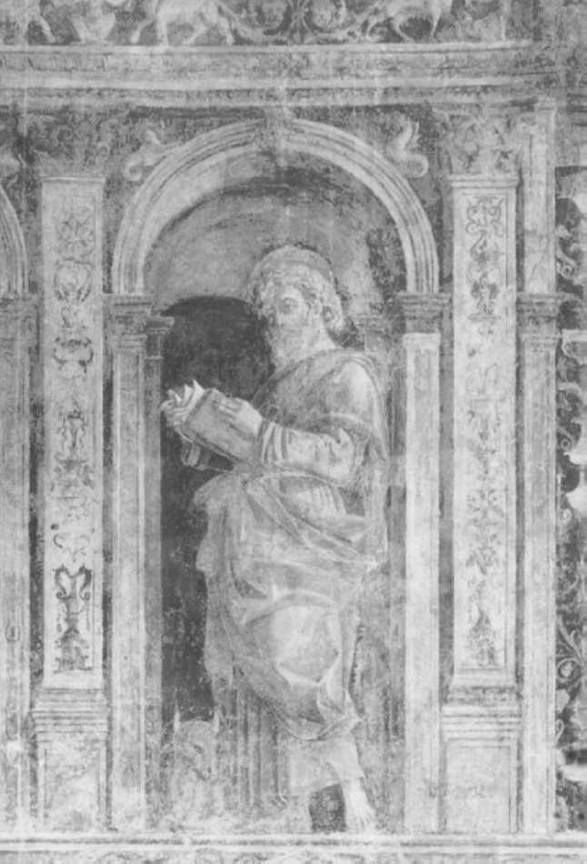 San Luca (dipinto) di Falconetto Giovanni Maria (sec. XVI)
