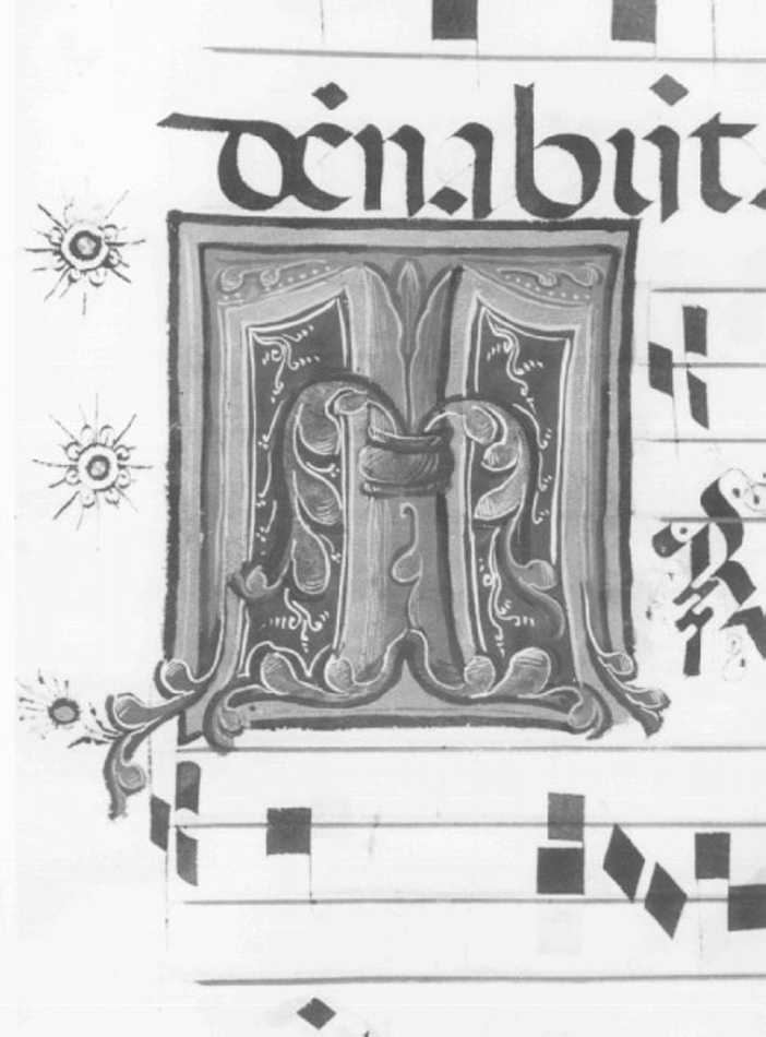 motivo decorativo floreale (miniatura) di Girolamo dai Libri (bottega) (sec. XVI)