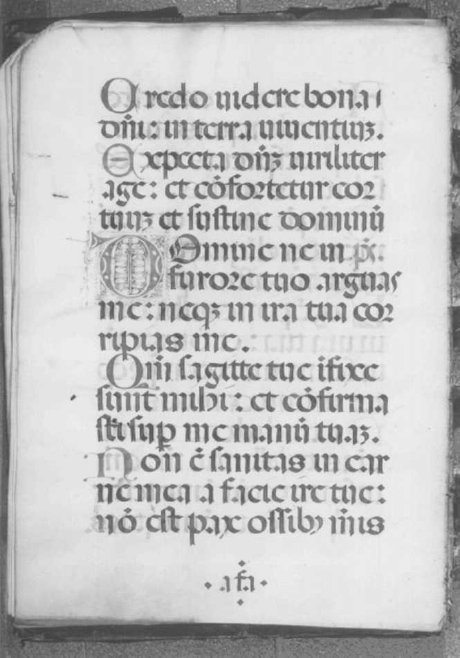 salterio di Girolamo dai Libri (bottega) (sec. XVI)