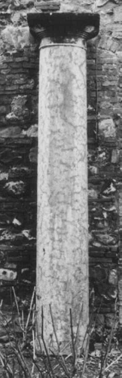colonna dorica - bottega veneta (sec. XIX)