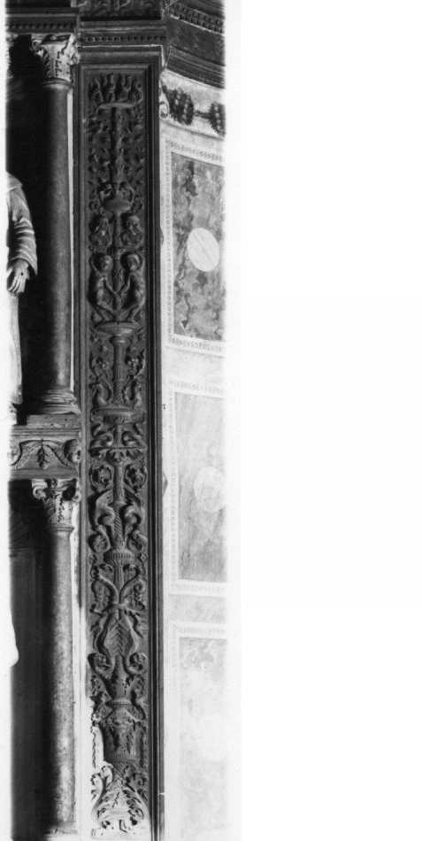 motivo decorativo a candelabra (rilievo) di Angelo Di Giovanni Da Verona detto Maestro Agnolo (attribuito) (sec. XVI)