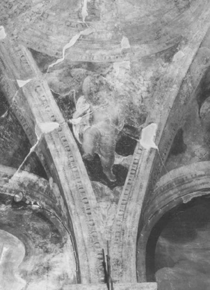 angelo con strumenti della passione (dipinto) di Farinati Paolo (sec. XVI)