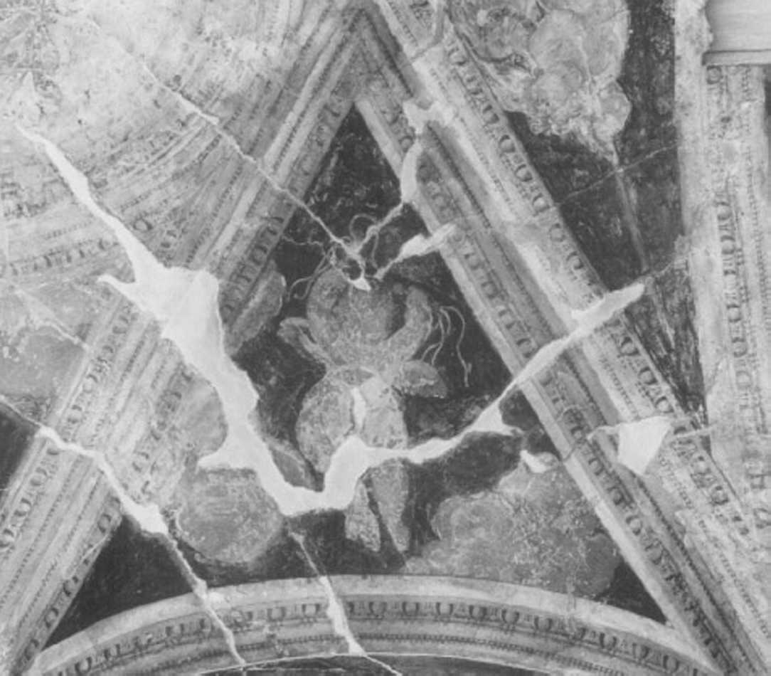 angelo con strumenti della passione (dipinto) di Farinati Paolo (sec. XVI)