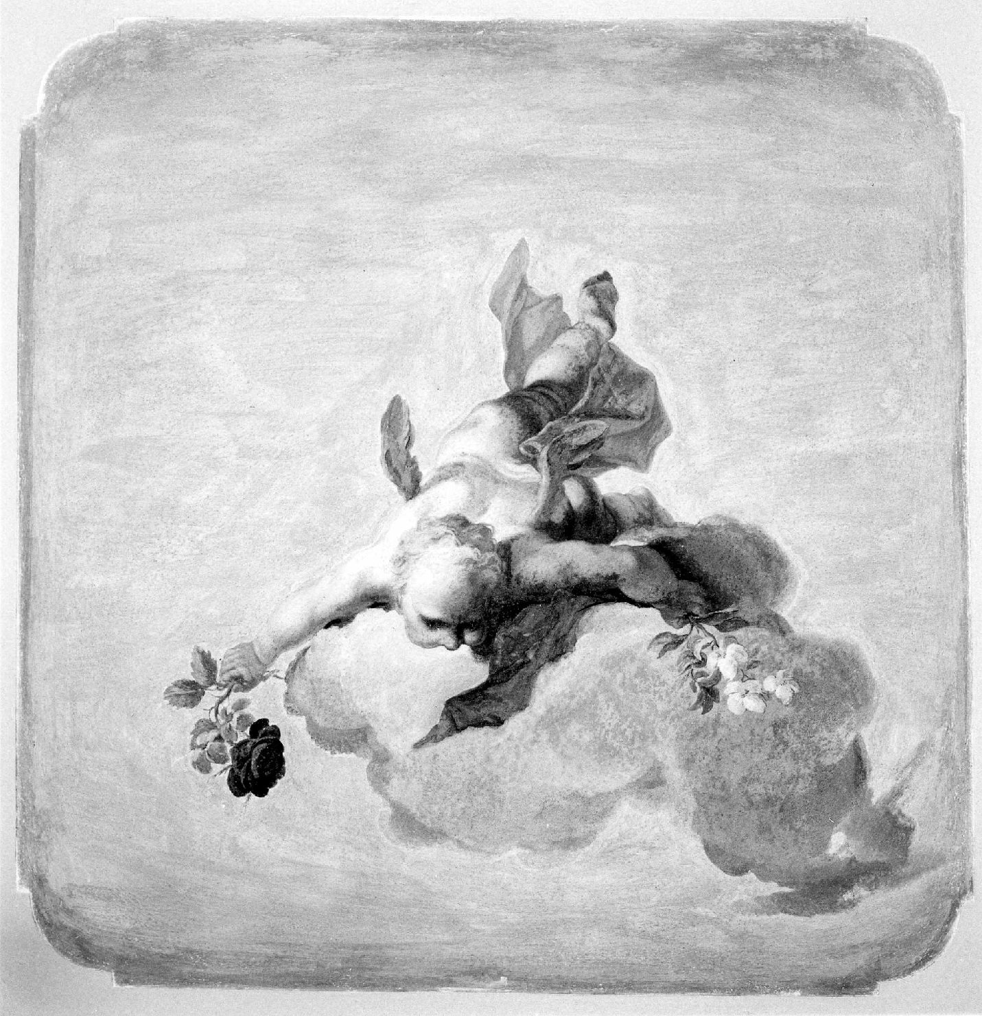 putto con fiori (soffitto dipinto, elemento d'insieme) di Anselmi Giorgio (sec. XVIII)