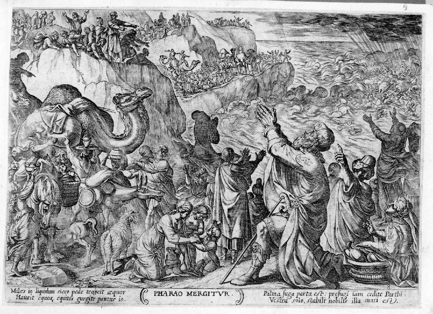 esercito egiziano sommerso dal mar Rosso (stampa smarginata, serie) di Tempesta Antonio (sec. XVII)