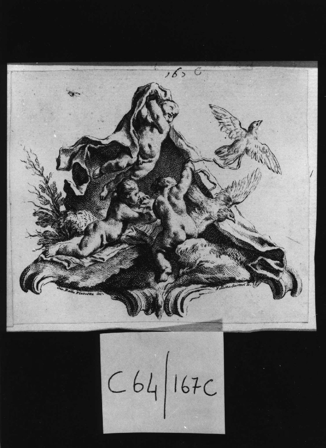 Putti con colombe, putti (stampa smarginata, serie) di Piazzetta Giovanni Battista, Sartori Felicita (sec. XVIII)
