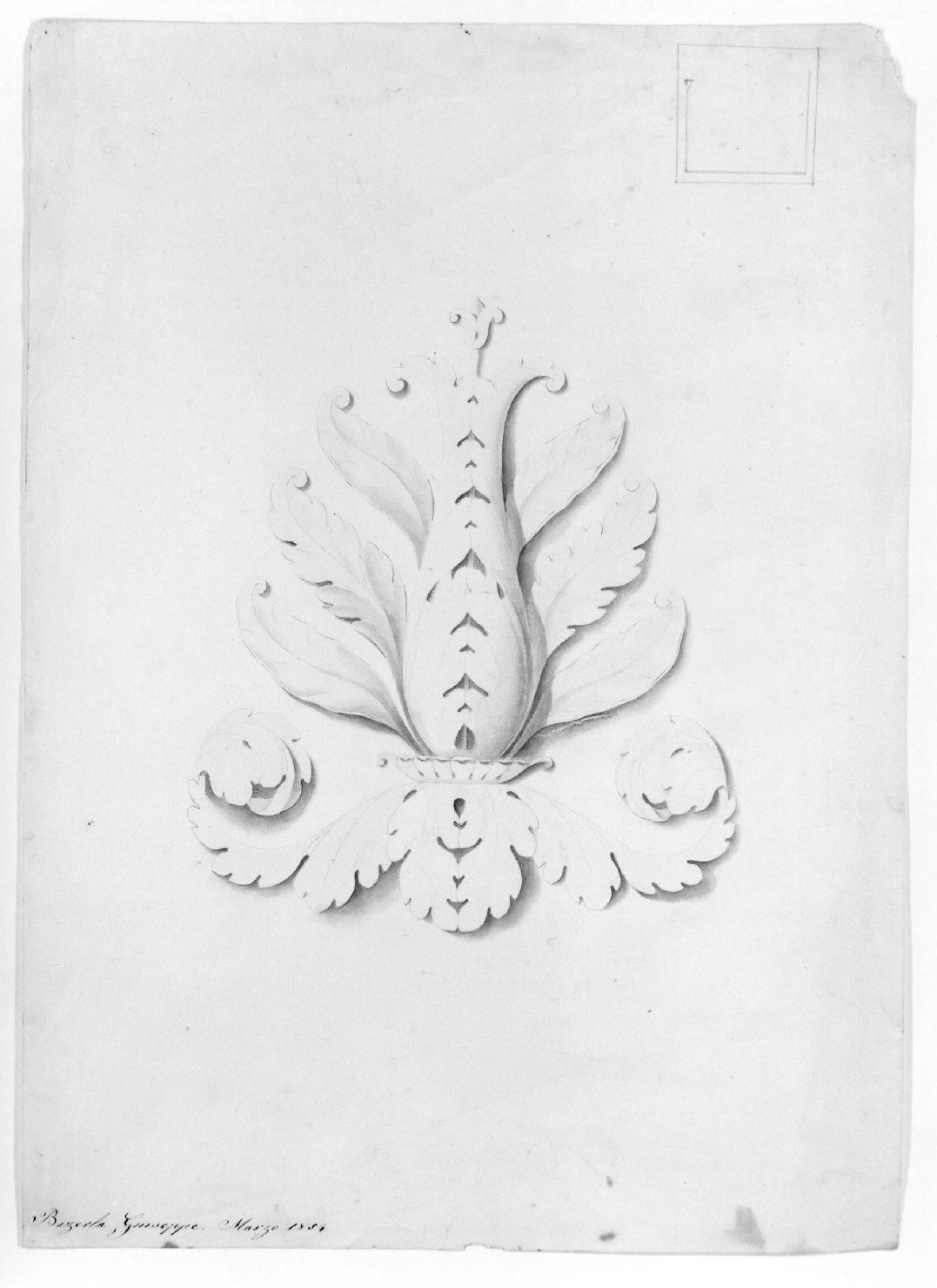 motivo decorativo vegetale (disegno) di Bazerla Giuseppe (sec. XIX)