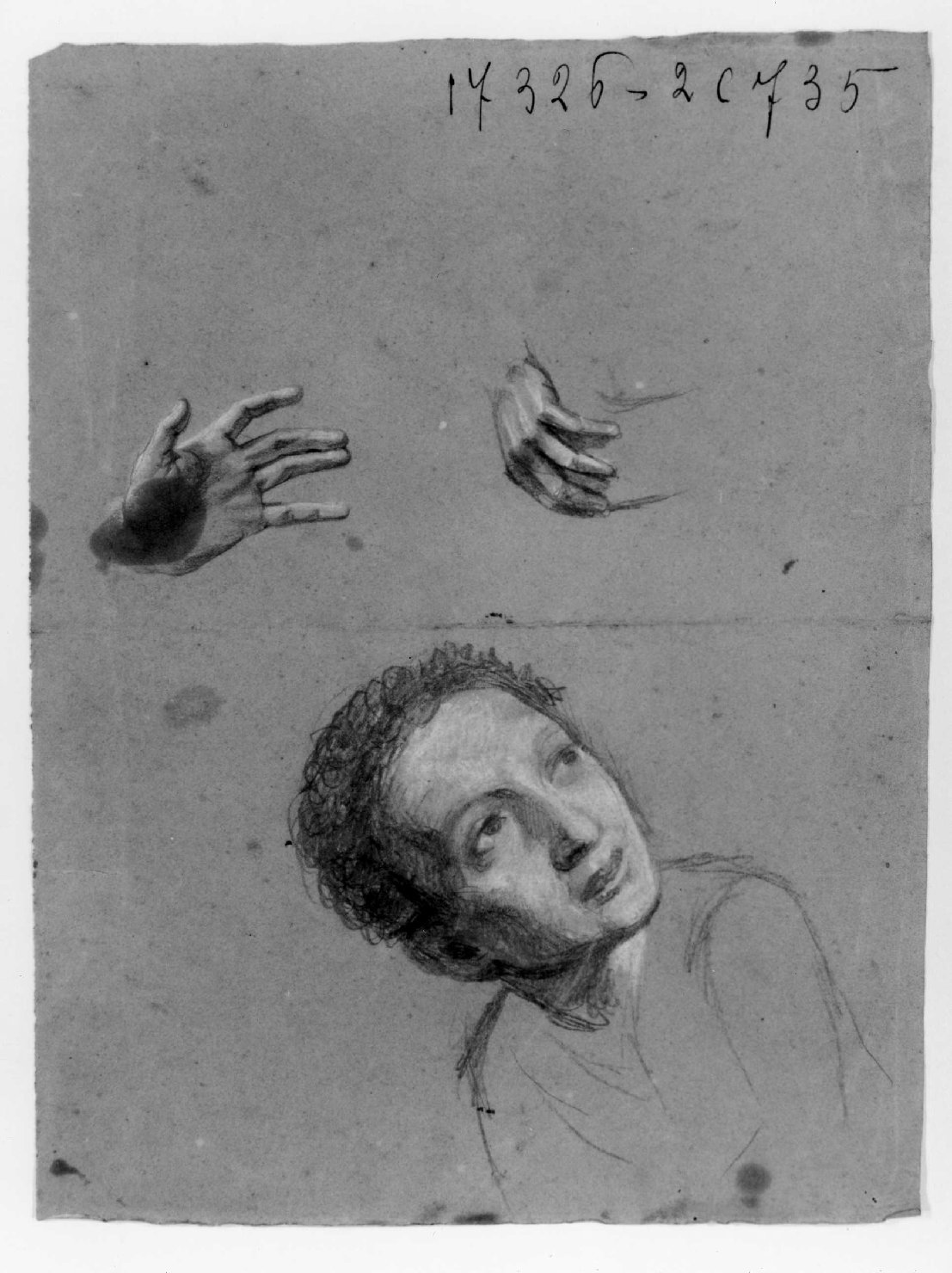testa di fanciullo e mani (disegno) di Recchia Angelo (metà sec. XIX)