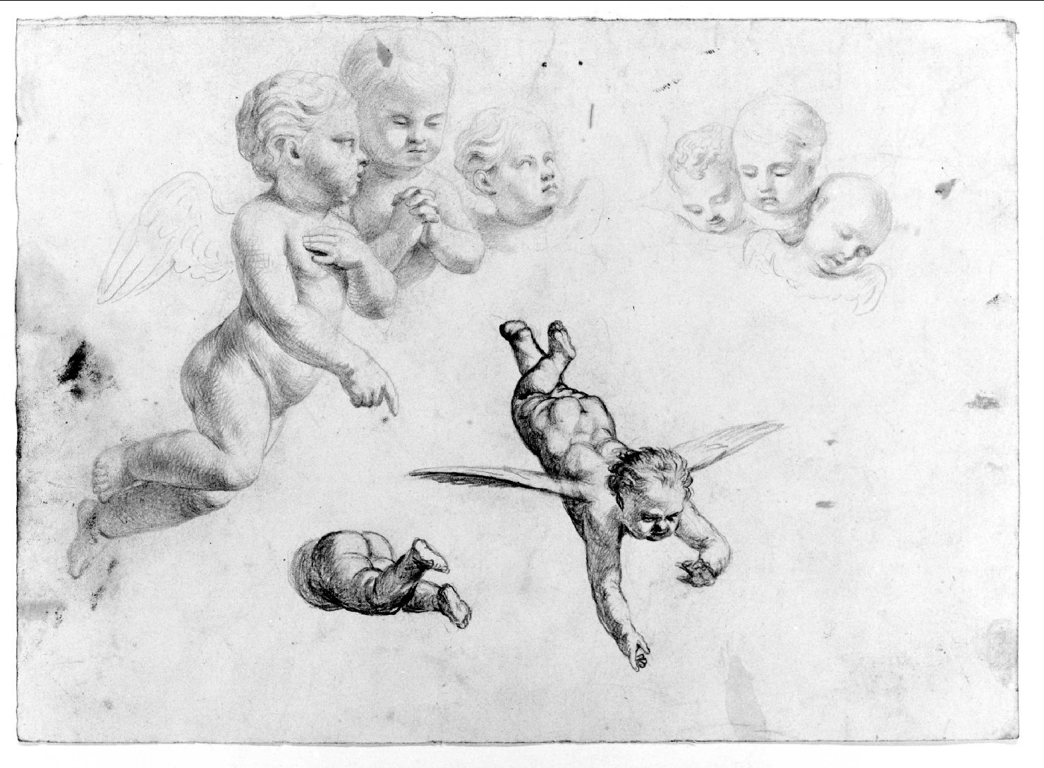 angeli (disegno) di Recchia Angelo (attribuito) (metà sec. XIX)