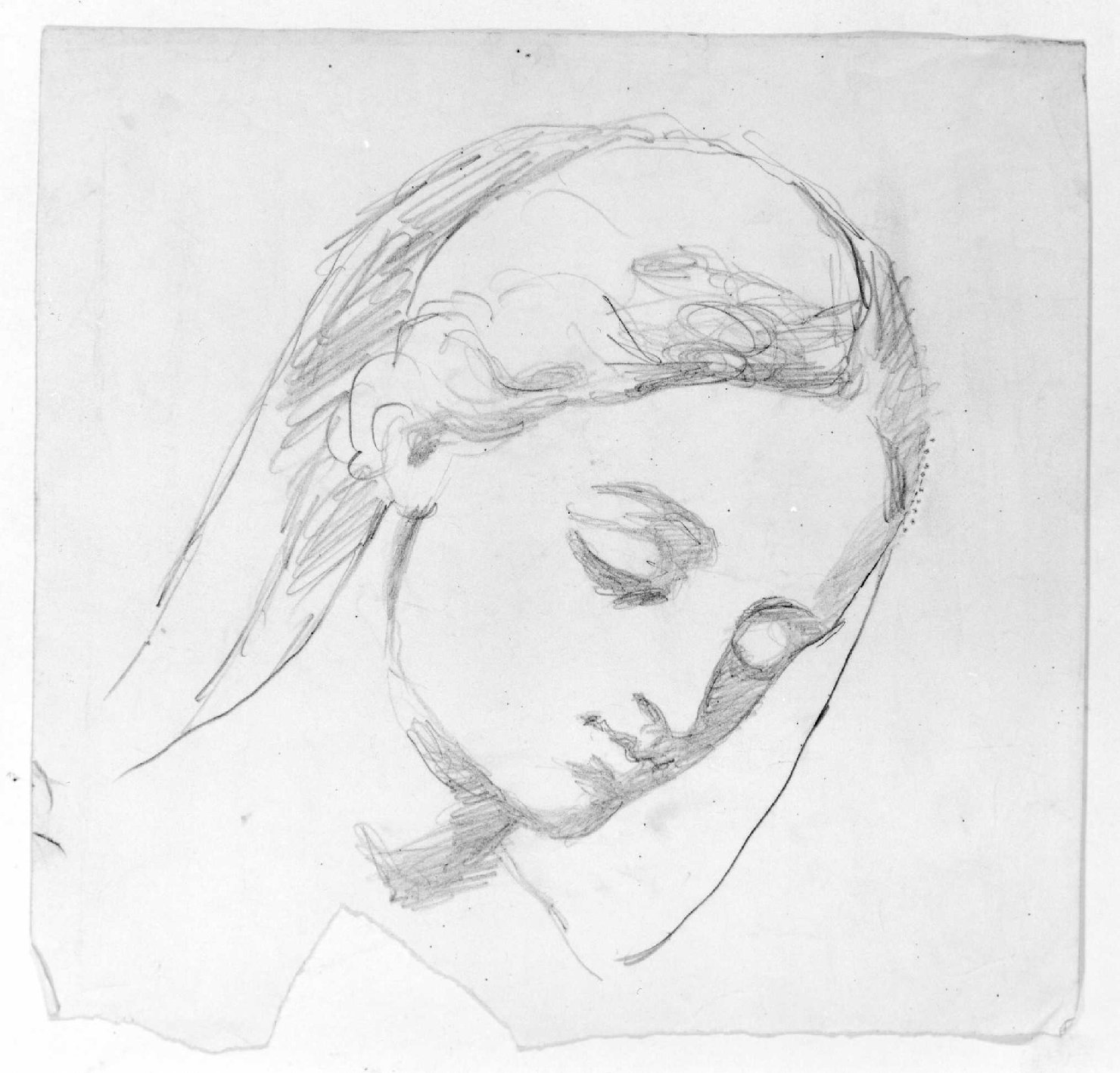 testa di Madonna (disegno) di Recchia Angelo (attribuito) (metà sec. XIX)
