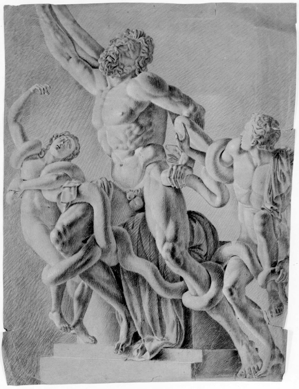Laocoonte e i figli strangolati da due serpenti (disegno) di Recchia Angelo (metà sec. XIX)