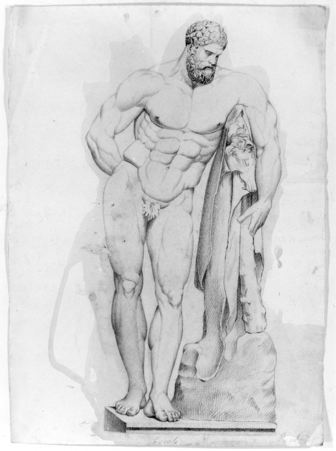 Ercole (disegno) di Recchia Angelo (metà sec. XIX)
