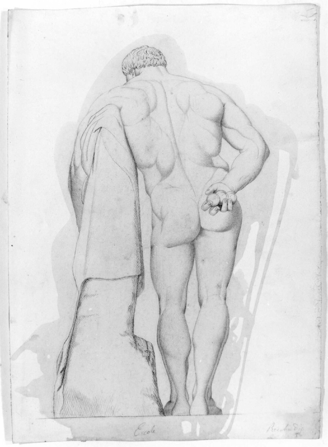 Ercole (disegno) di Recchia Angelo (metà sec. XIX)