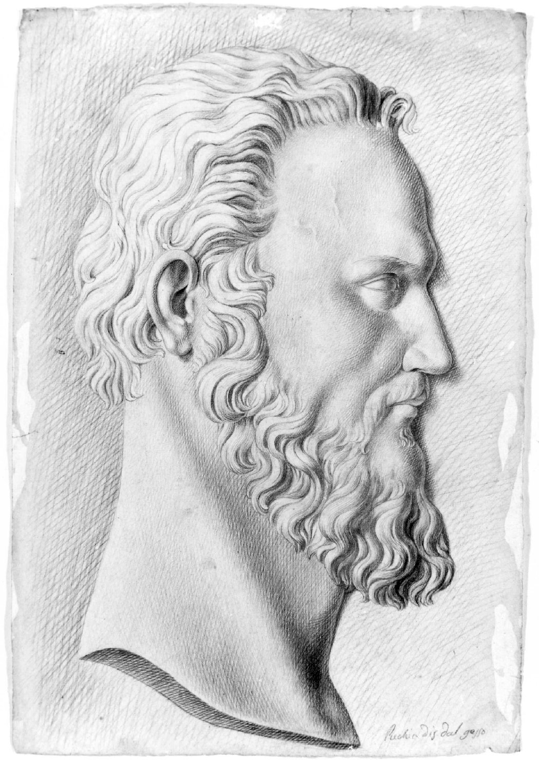 testa d'uomo di profilo (disegno) di Recchia Angelo (metà sec. XIX)