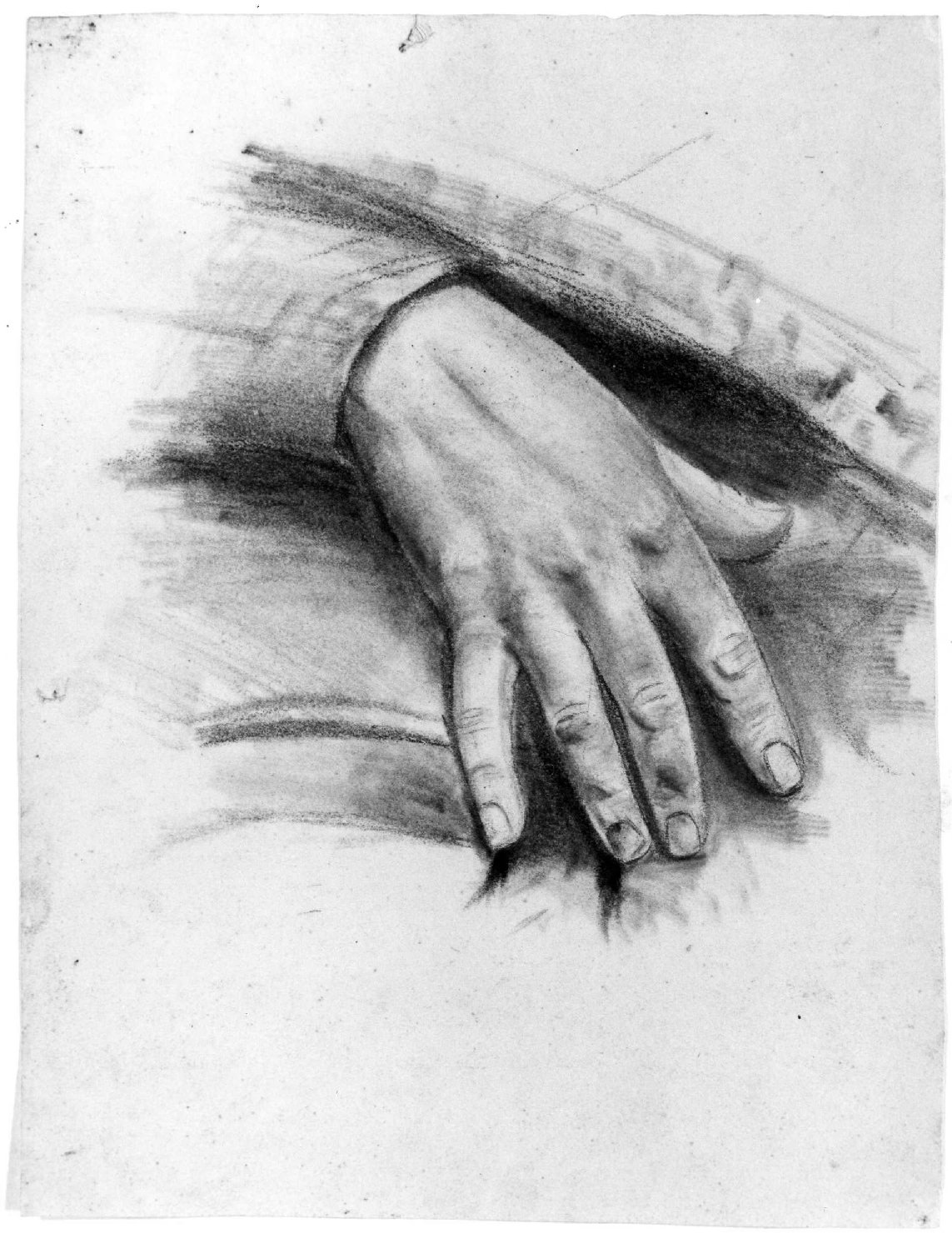 mano (disegno) di Belloni Elisa (fine sec. XIX)