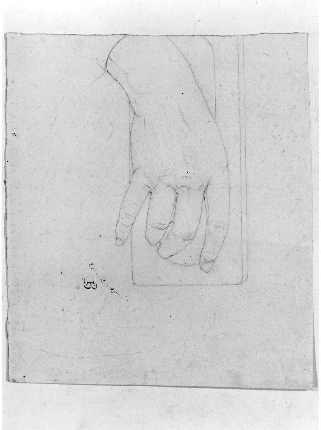 mano (disegno) di Belloni Elisa (sec. XIX)