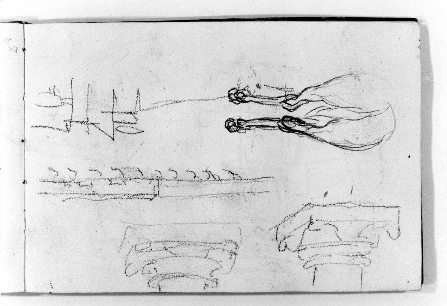 cavallo e elementi architettonici (disegno, serie) di Canella Carlo (prima metà sec. XIX)