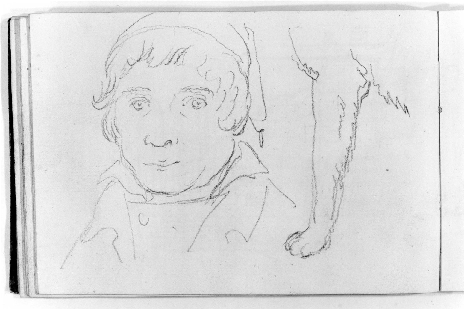 testa d'uomo, zampa (disegno, serie) di Canella Carlo (prima metà sec. XIX)