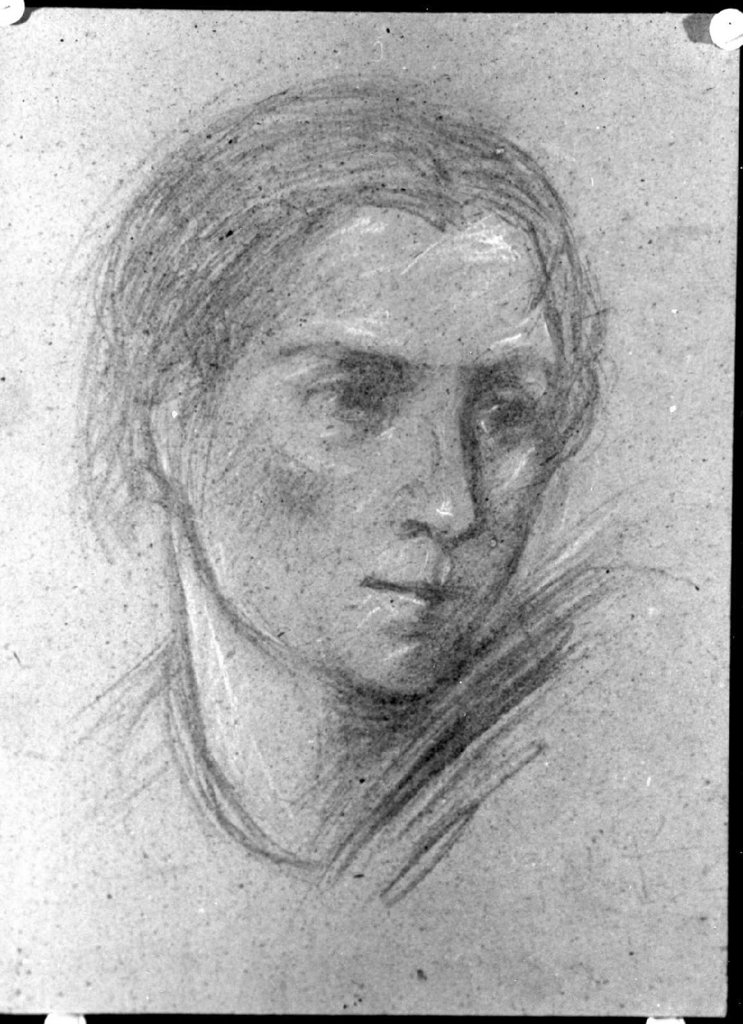 testa di donna (disegno) di Piccoli Domenico Stanislao (sec. XX)