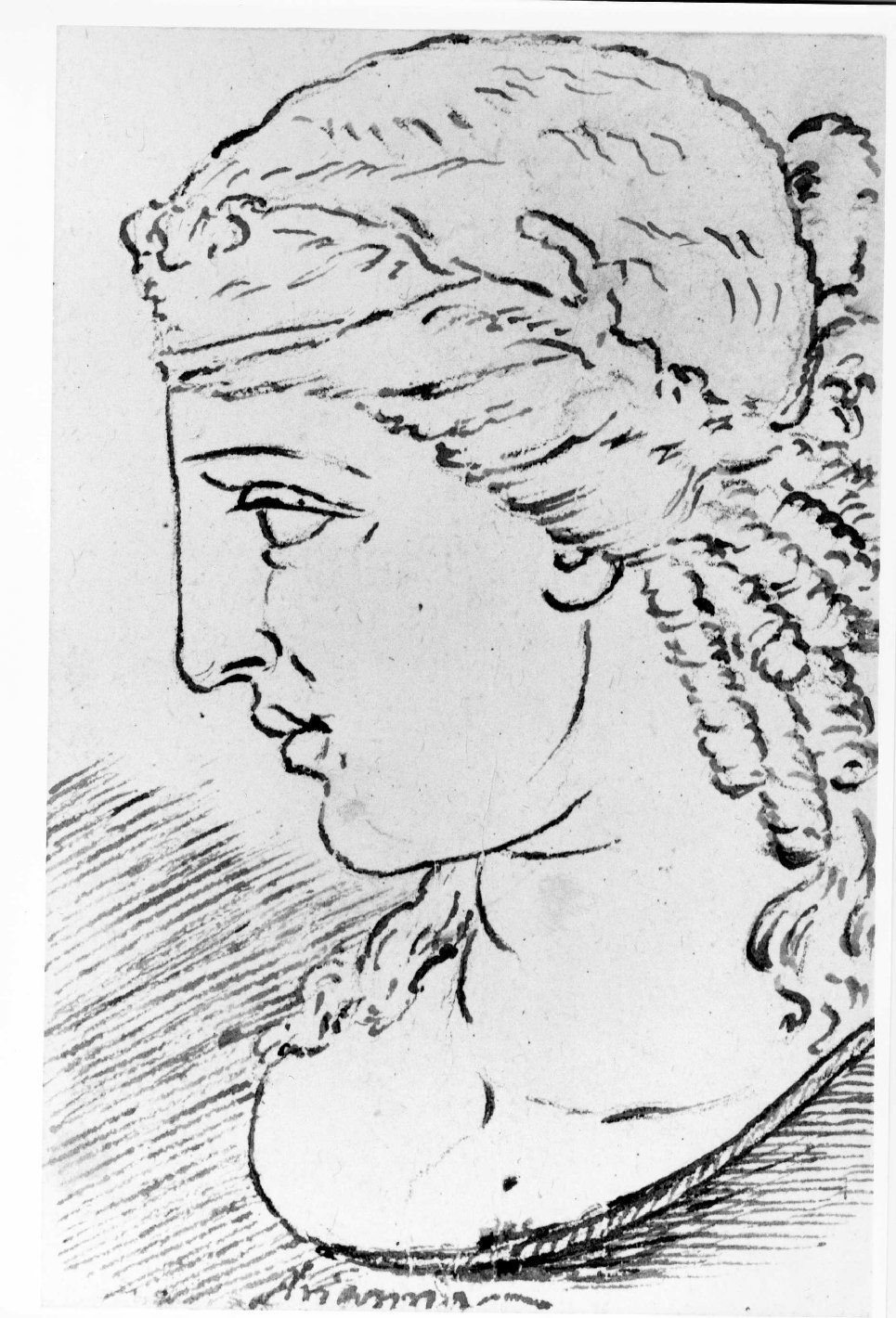 testa di Arianna (disegno) di Personi Francesco (attribuito) (inizio sec. XVIII)