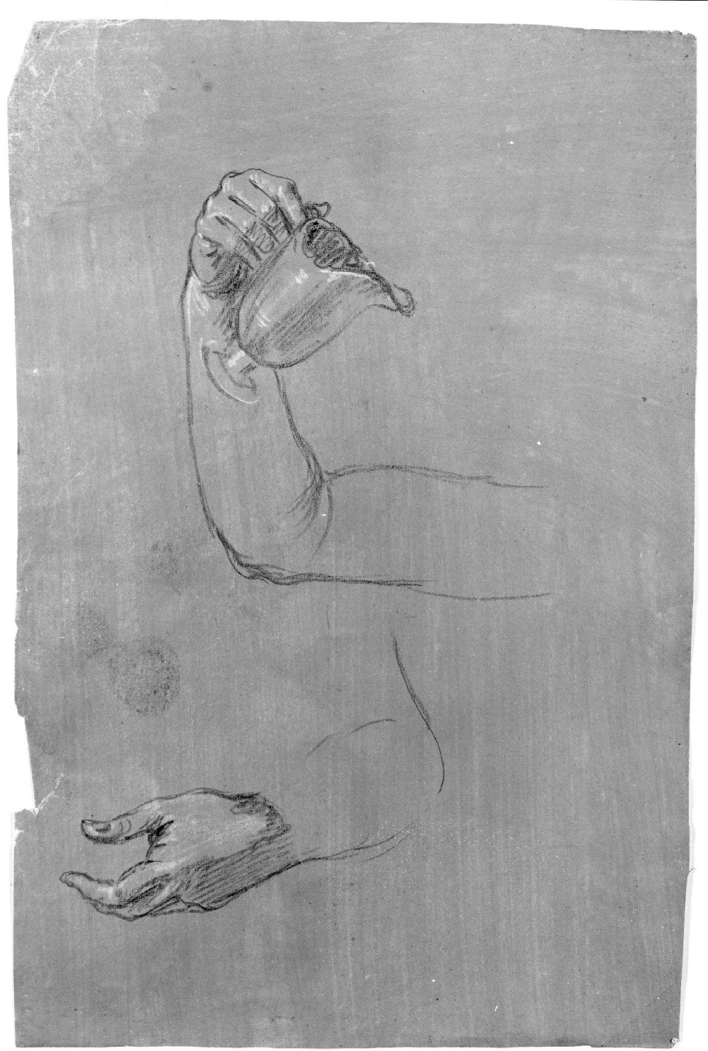mano e braccio (disegno) di Lorenzi Francesco (seconda metà sec. XVIII)