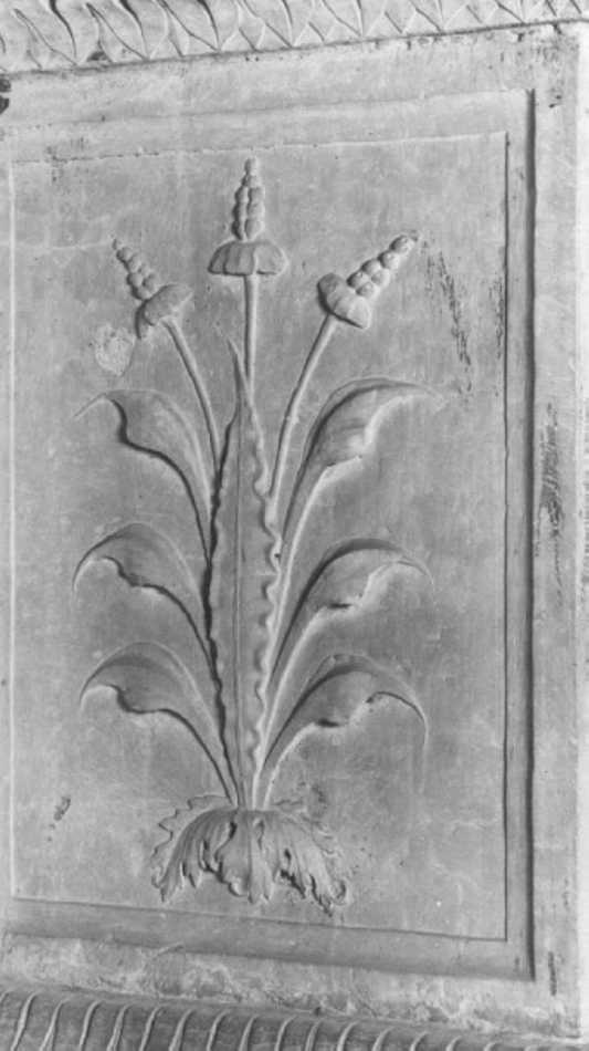 motivo decorativo floreale (rilievo, elemento d'insieme) - ambito veneto (inizio sec. XVI)