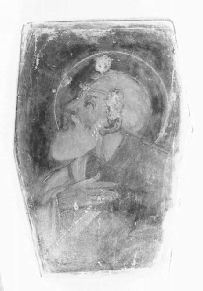 San Domenico (dipinto, elemento d'insieme) di Muttoni Bernardo Vecchio (sec. XVII)