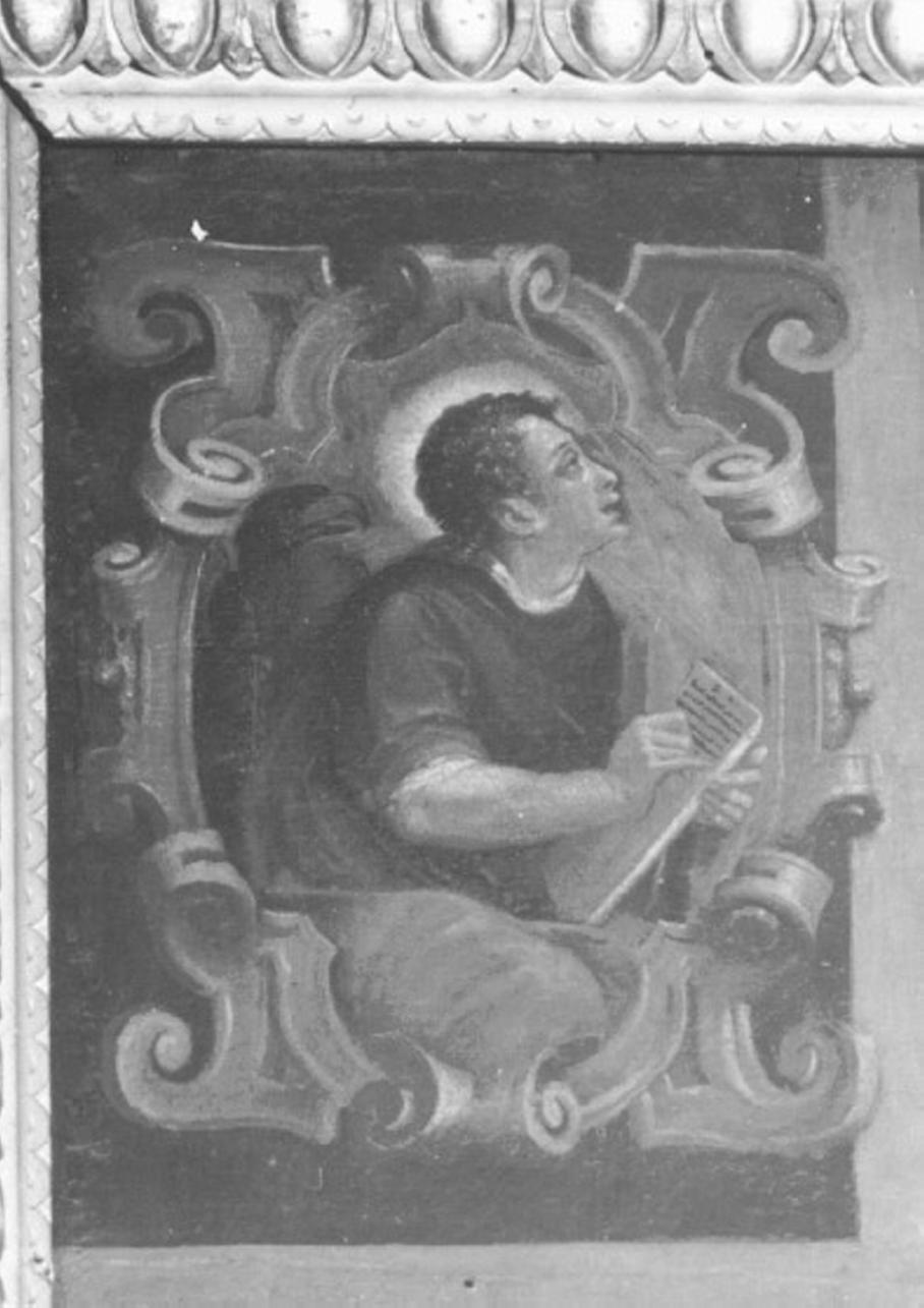 San Giovanni Evangelista (dipinto) di Fasolo Giovanni Antonio (attribuito) (sec. XVI)