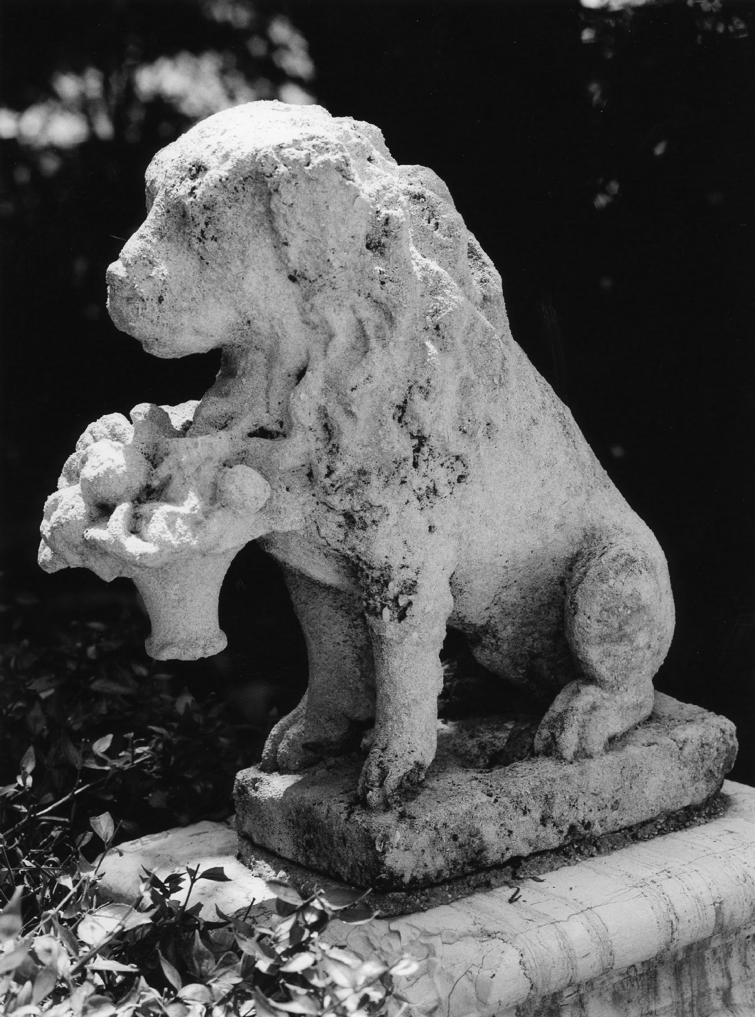 leone (scultura) - bottega vicentina (sec. XVIII)